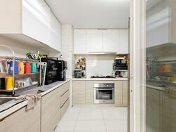 Austville Residences (D19), Condominium #498628281